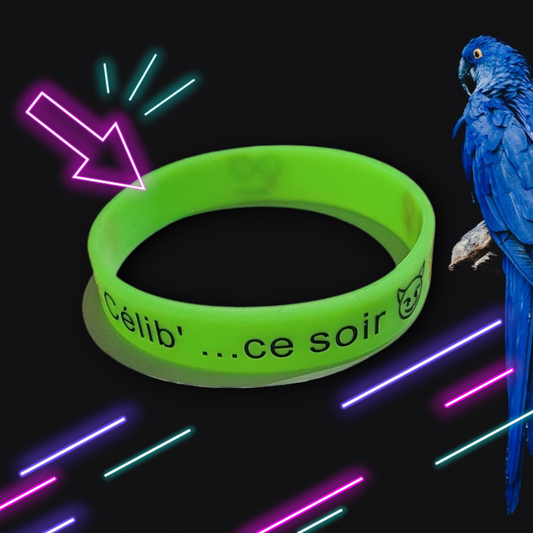 Célibracelet version Fun modèle "Célib' ce soir"  ♀